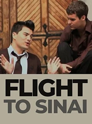 Постер: Flight to Sinai