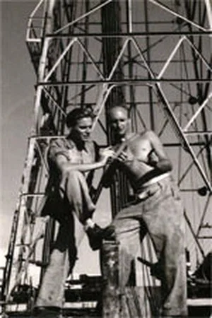 Постер: The Oil Field