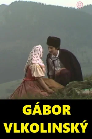Постер: Gábor Vlkolinský