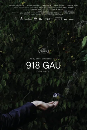 Постер: 918 Nights