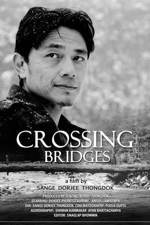 Постер: Crossing Bridges