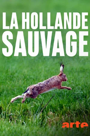 Постер: La Hollande sauvage - La faune des polders