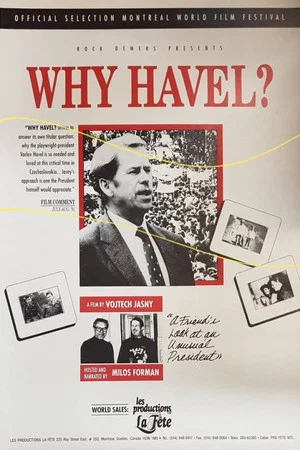 Постер: Why Havel?
