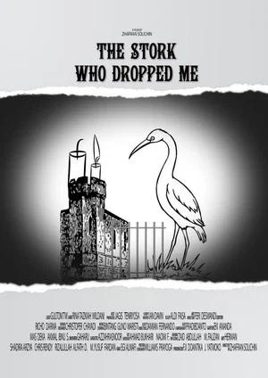 Постер: The Stork Who Dropped Me