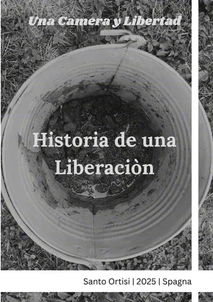 Постер: Historia de una liberaciòn