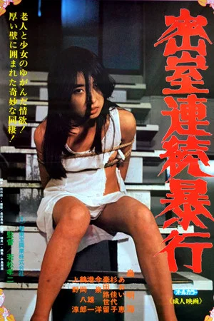 Постер: Serial Rape in a Secret Room