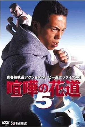 Постер: The Way to Fight 5