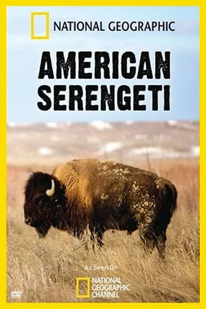 Постер: American Serengeti