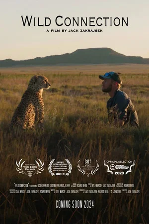 Постер: Wild Connection