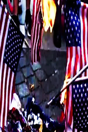 Постер: Naughty America: Guns & Stripes