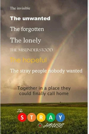 Постер: The Stray House