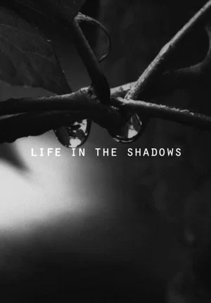 Постер: Life in the Shadows