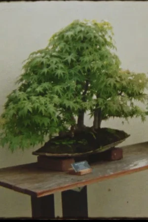 Постер: Picture A Tree