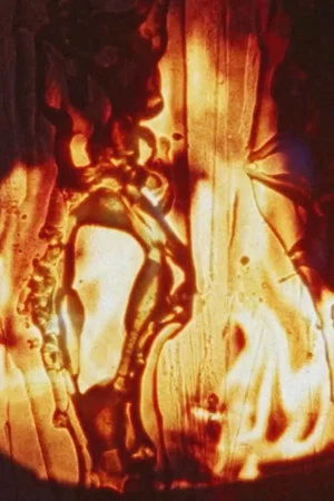Постер: Friendly Fire