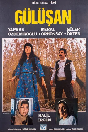 Постер: Gülüşan