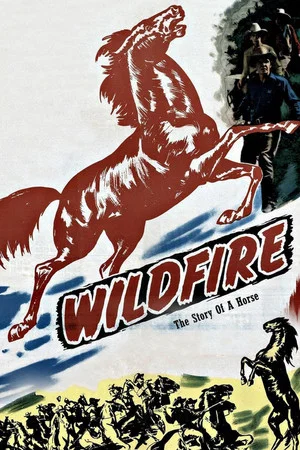 Постер: Wildfire