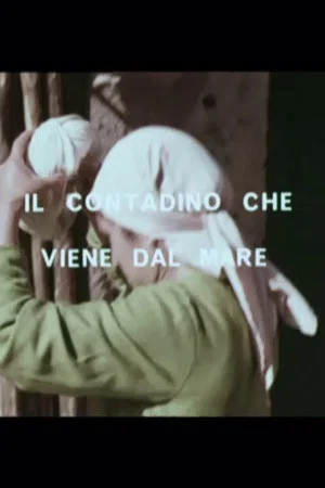 Постер: Il contadino che viene dal mare