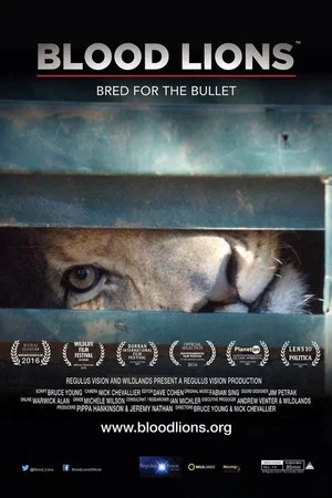 Постер: Blood Lions
