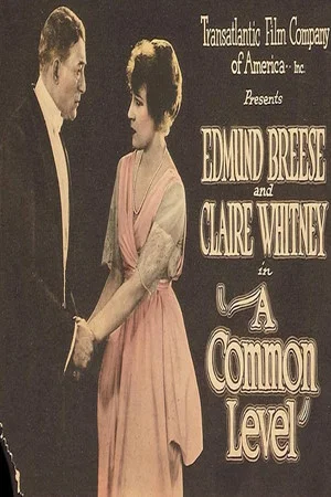 Постер: A Common Level