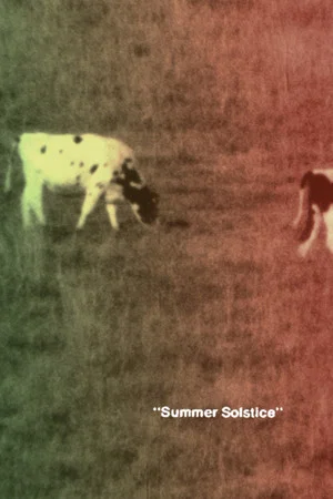 Постер: Summer Solstice