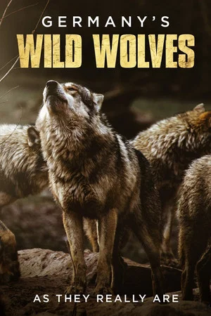 Постер: Germany's Wild Wolves - As They Really Are