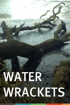Постер: Water Wrackets