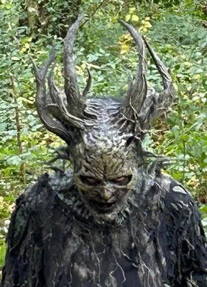 Постер: The Cull
