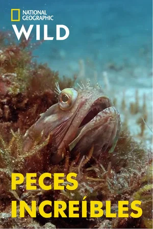 Постер: Incredible Fish