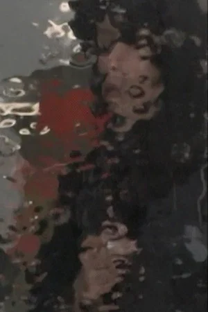 Постер: Akira Tsuboi Documents