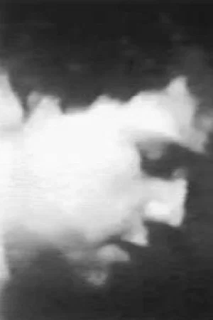 Постер: K.I.P.