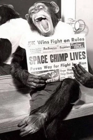 Постер: Spacechimp