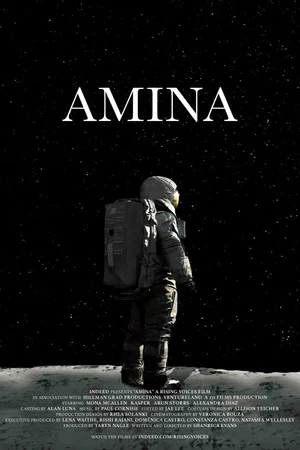 Постер: Amina