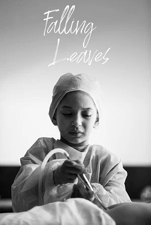 Постер: Falling Leaves