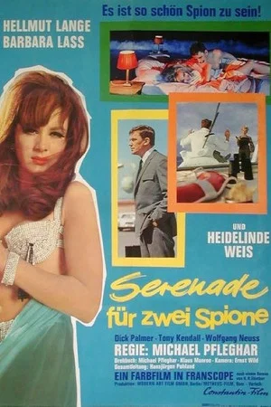 Постер: Serenade for Two Spies