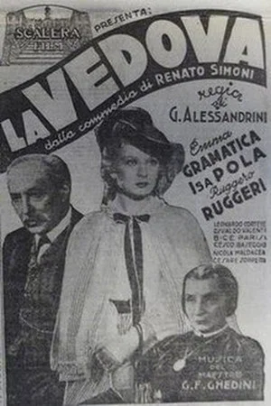 Постер: La vedova