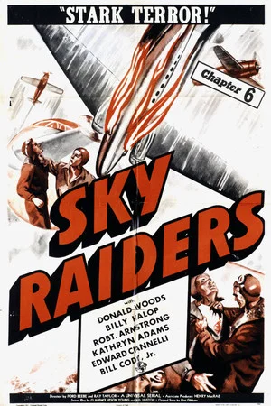 Постер: Sky Raiders
