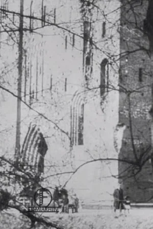 Постер: Historical Remembrances of Estonia's Past