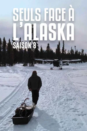 Постер: 8 сезон