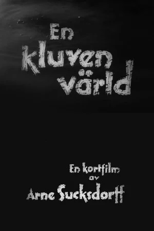 Постер: A Divided World