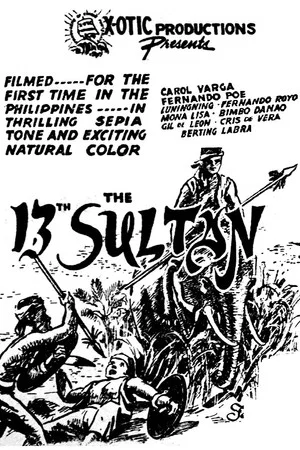 Постер: The 13th Sultan