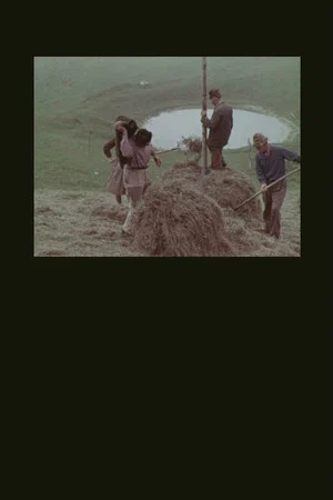 Постер: La montagna del sole