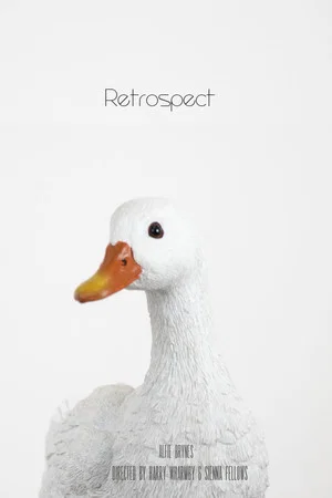 Постер: Retrospect