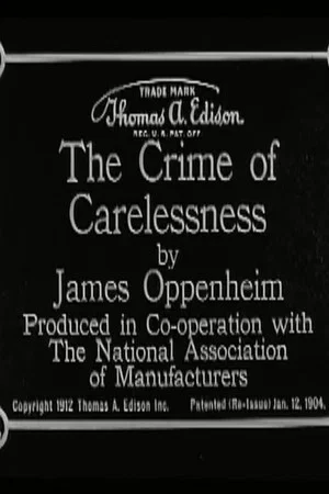 Постер: The Crime of Carelessness