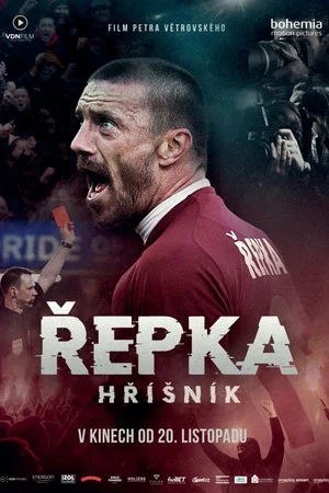 Постер: Řepka: Hříšník