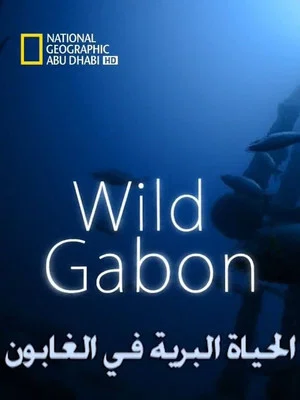 Постер: Wild Gabon