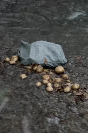 Постер: The Potato Eaters
