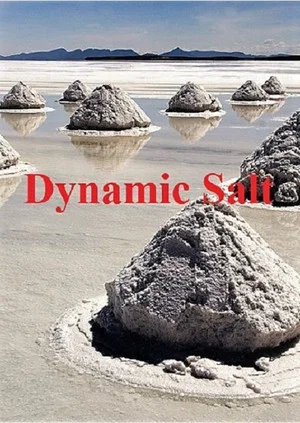 Постер: Dynamic Salt