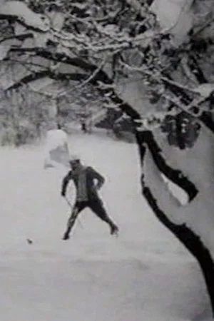 Постер: Max Skiing