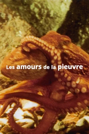 Постер: The Love Life of an Octopus