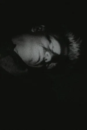 Постер: The Guy on the Bed